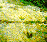Sataplia Cave, Georgia